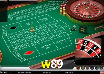 Descubra o Mundo do Cassino Online com w89